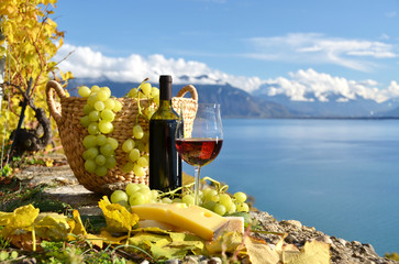 Lawatan wain 3 negara di Switzerland